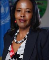 Profile picture for user mary.njoroge@undp.org